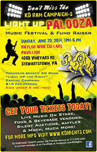 Light Up Palooza Poster